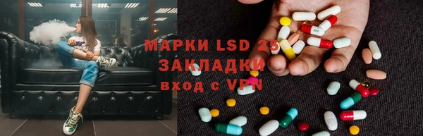 PSILOCYBIN Ельня