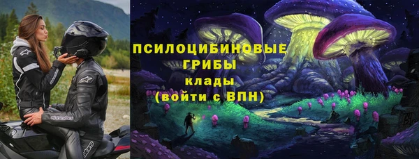стаф Алексеевка